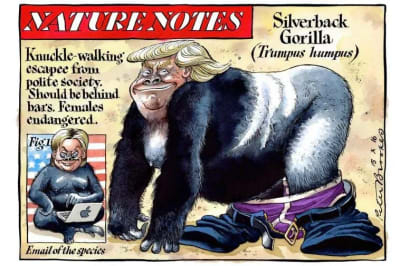 Rfitumqyz2foqkqmzd8ck6zmcr9g - Eugenol