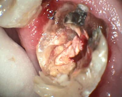 S4 alfb1v - Eugenol