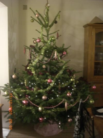 Sapin inhwhs - Eugenol