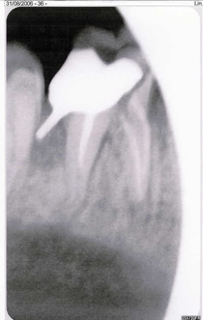 Scan0004 dt5xqq - Eugenol