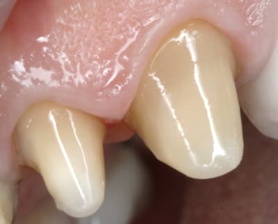 Stysjjfiyr7j7uivt87v7amy7n18 - Eugenol