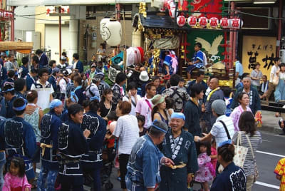 Tksk  242  sr1msp - Eugenol