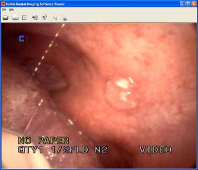 Truc bizarre3 xh0bgj - Eugenol