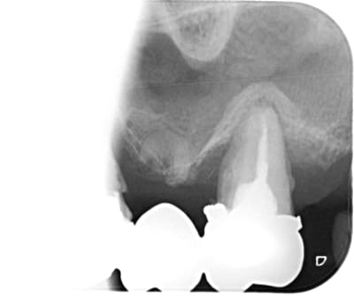 Vif5botbjccdxat1rd2a - Eugenol