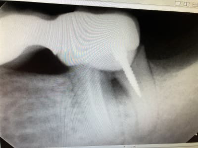 Z1vzaskkdjctkpcjt2fy - Eugenol