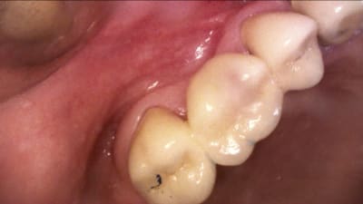 Zpv7bvjqgzrigfufegfu - Eugenol