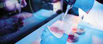 A gloved scientist uses a pipette to add liquid to a 96-well plate in a laboratory. Scientific equipment and a computer screen displaying chemical formulas are visible in the background, highlighting a research environment.