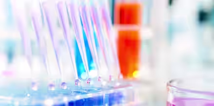 A close-up image of laboratory equipment. A line of pipettes containing blue liquid is arranged in a plastic holder. Behind them, two cylindrical containers hold orange liquid, and to the right, there's a petri dish with pink liquid.