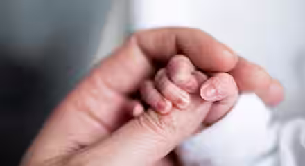 Close-up of an adult hand gently holding a newborn's tiny hand. The adult's fingers are wrapped around the baby's delicate hand, creating a tender and nurturing scene. The background is softly blurred, keeping the focus on the hands.