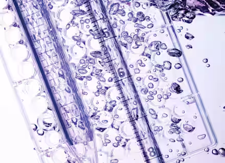 Close-up of a laboratory setting featuring a plastic test tube rack and graduated pipettes submerged in water with bubbles surrounding them. The background transitions from pink to blue tones, creating a visually appealing scientific scene.