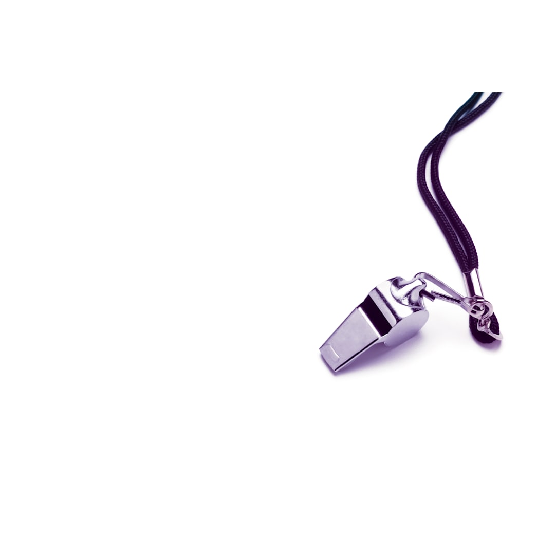 The EU Whistleblowing Directive: a Swedish perspective - Vimarsana News