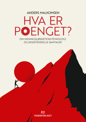 Hva er poenget? e-bok