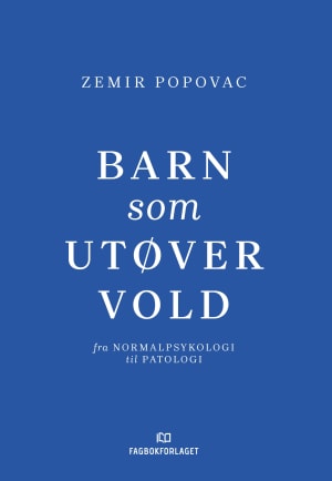 Barn som utøver vold, e-bok