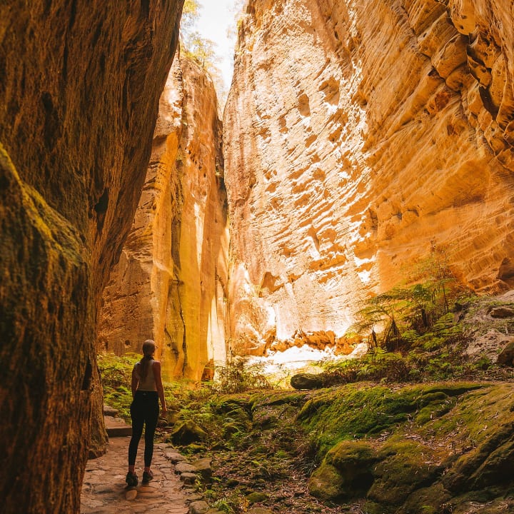 The Australian Bucket List - Capricorn