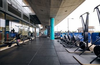 how does this show up