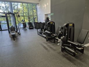 gym_weights_area_2