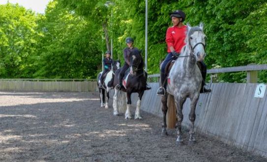 group riding lesson