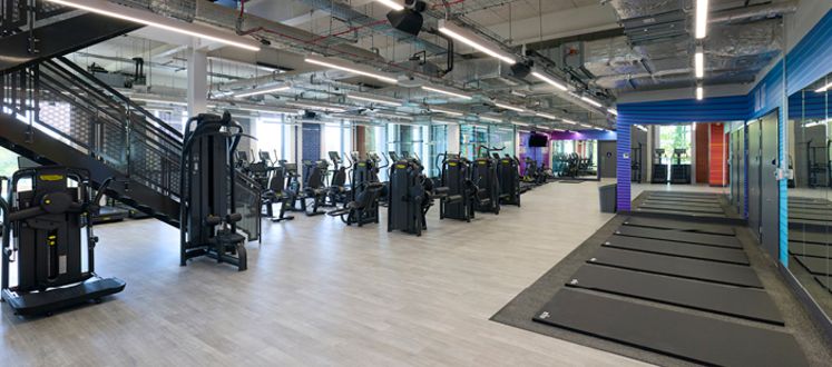 stretch mats in a bright open plan gym area