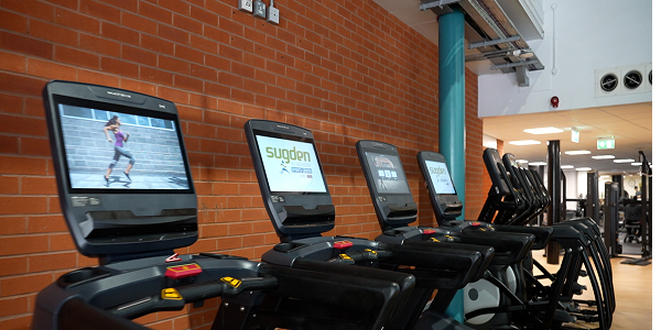Treadmills at Sudgen gym Treadmills at Sudgen gym