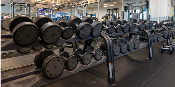  a view of the free weights at North City gym