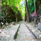 Railroad Tracks in Forest at Death Railway Kanchanaburi