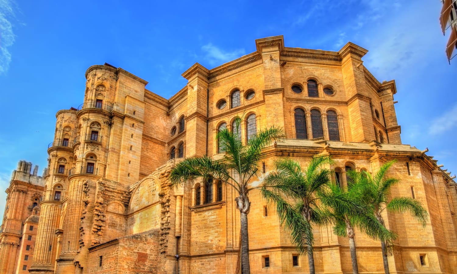 View of Malaga Cathedral