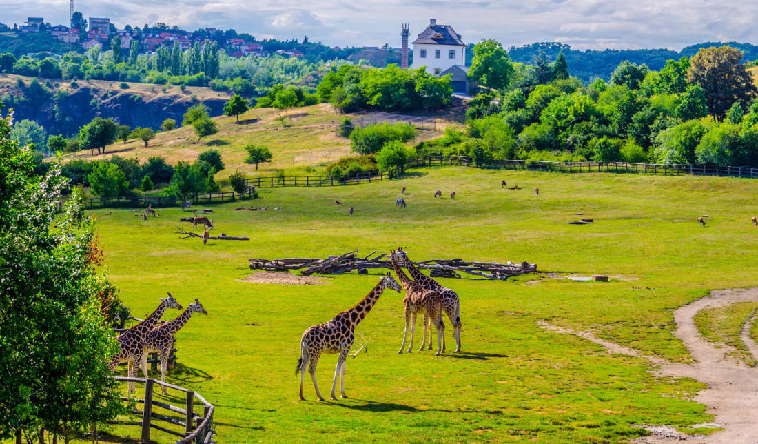 Prague Zoo