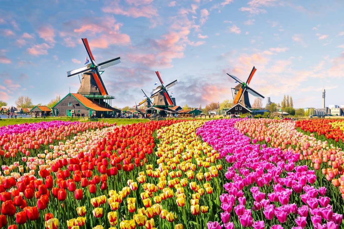 Zaanse Schans, Self Guided