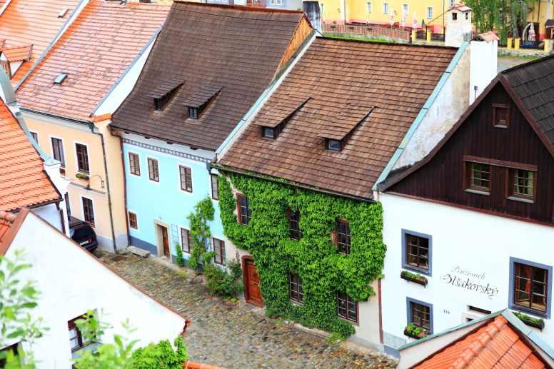 Pastel Colored and Ivy Covered Homes in Cesky Krumlov