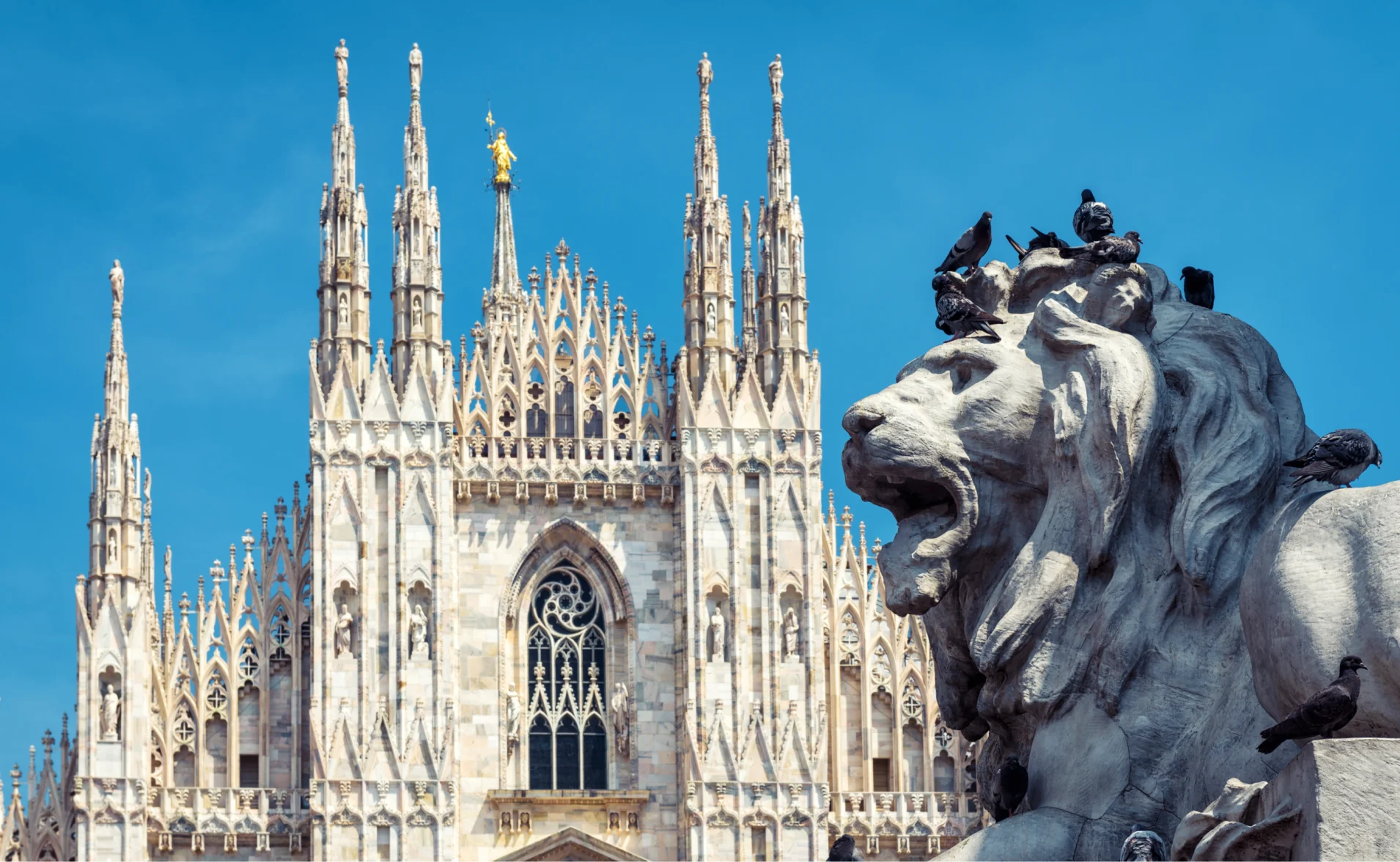 lion monument in front of milan cathedral in italy
