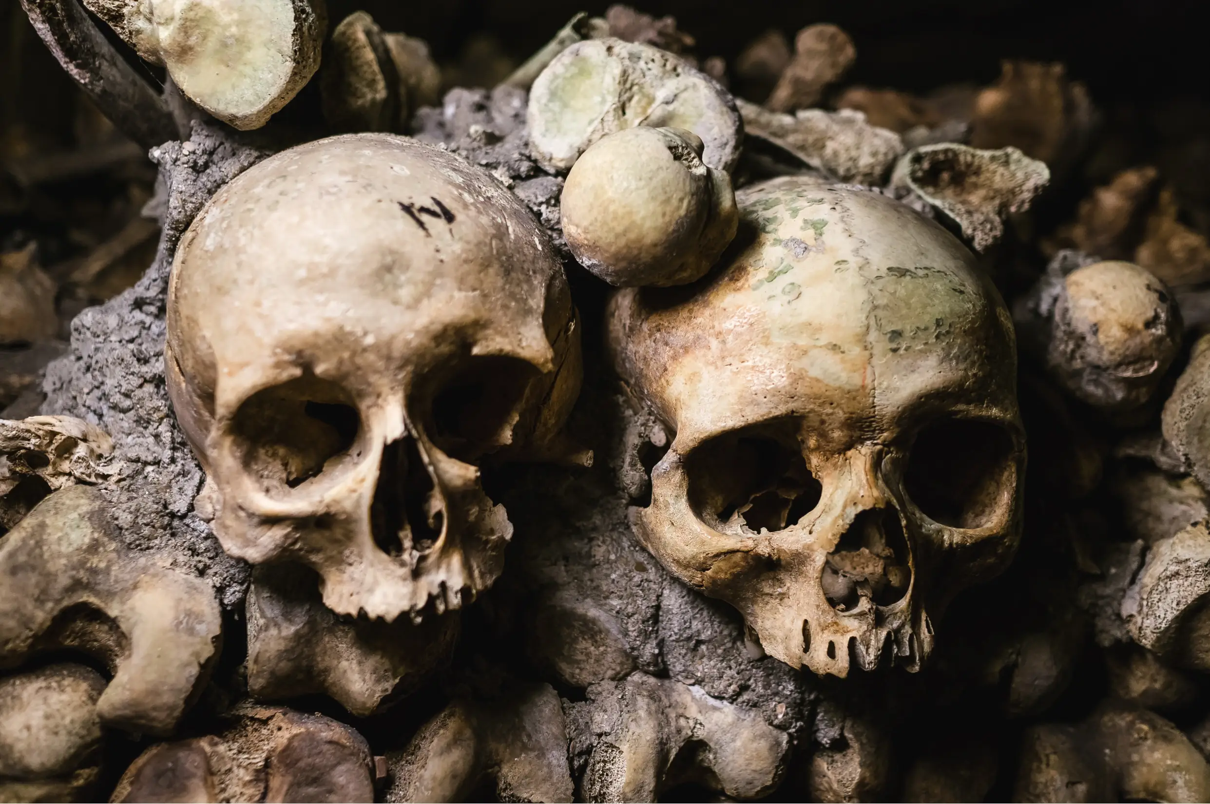 Skulls at the Catacombs of Paris