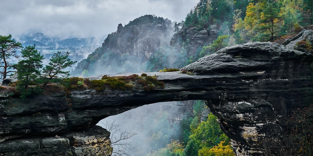 Nature Image