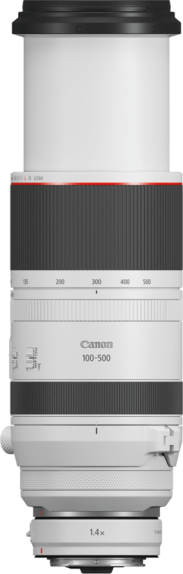 Weiß Canon RF 100-500mm f/4.5-7.1L IS USM Objektiv.4