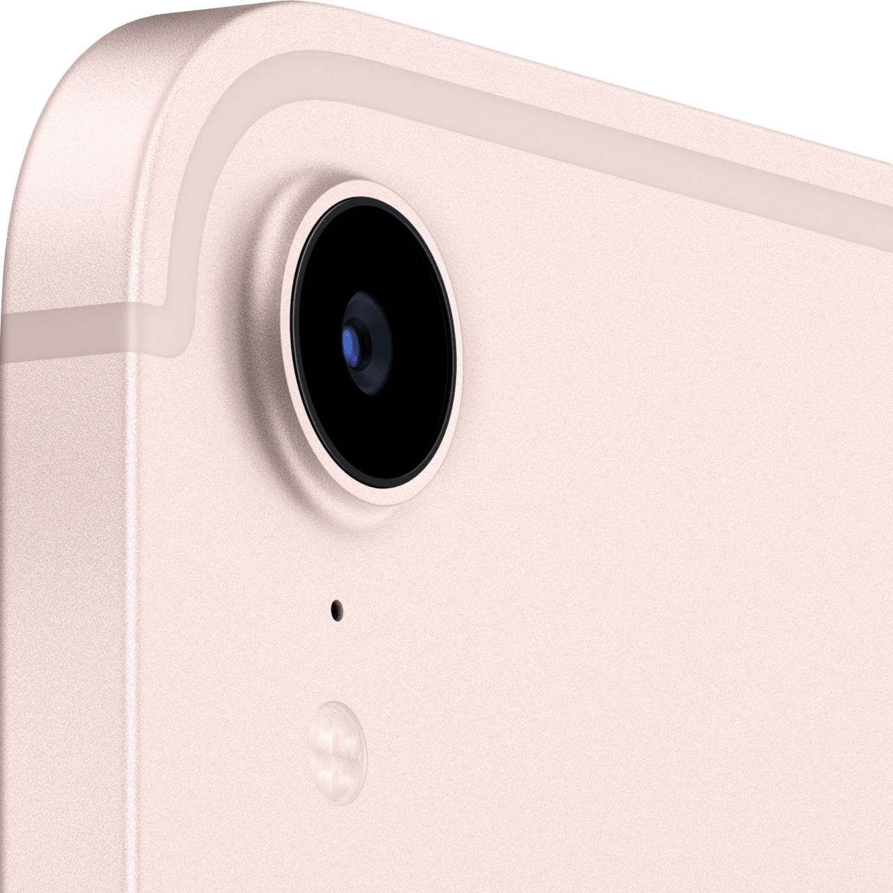Pink Apple iPad mini (2021) - WiFi - iOS 15 - 64GB.3