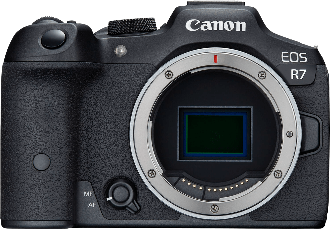Canon EOS R7 Systemkamera (nur Gehäuse)