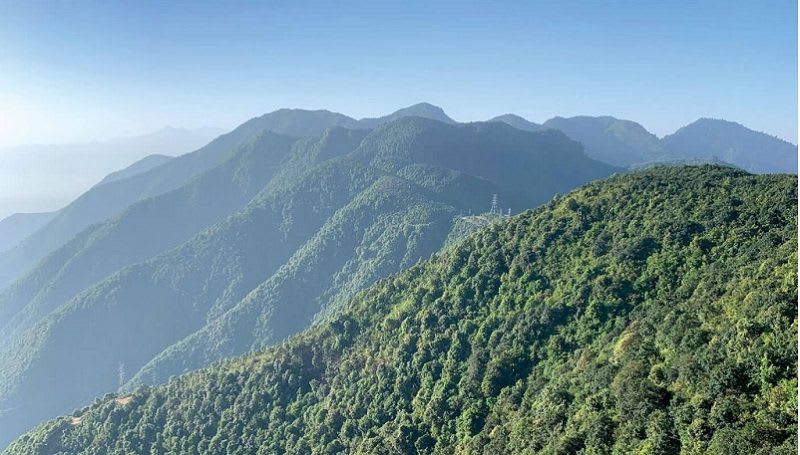 आम्दानीको स्रोत गुमाउँदै हिमाली क्षेत्रका सामुदायिक वन