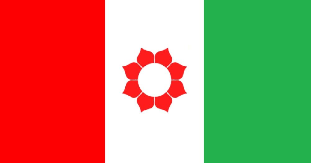 जनमत पार्टीका ५ जना नेता कारबाहीमा परे ?