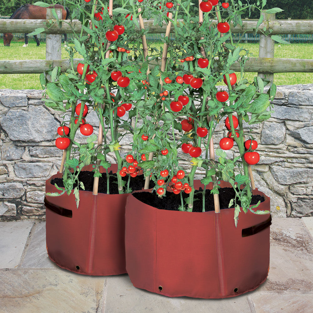 Tomato Patio Planter | Haxnicks