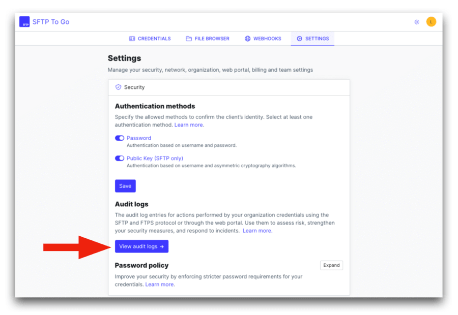 sftp to go view audit logs