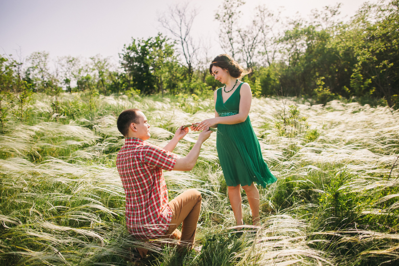 Heiratsantrag bei einem Picknick in der Natur