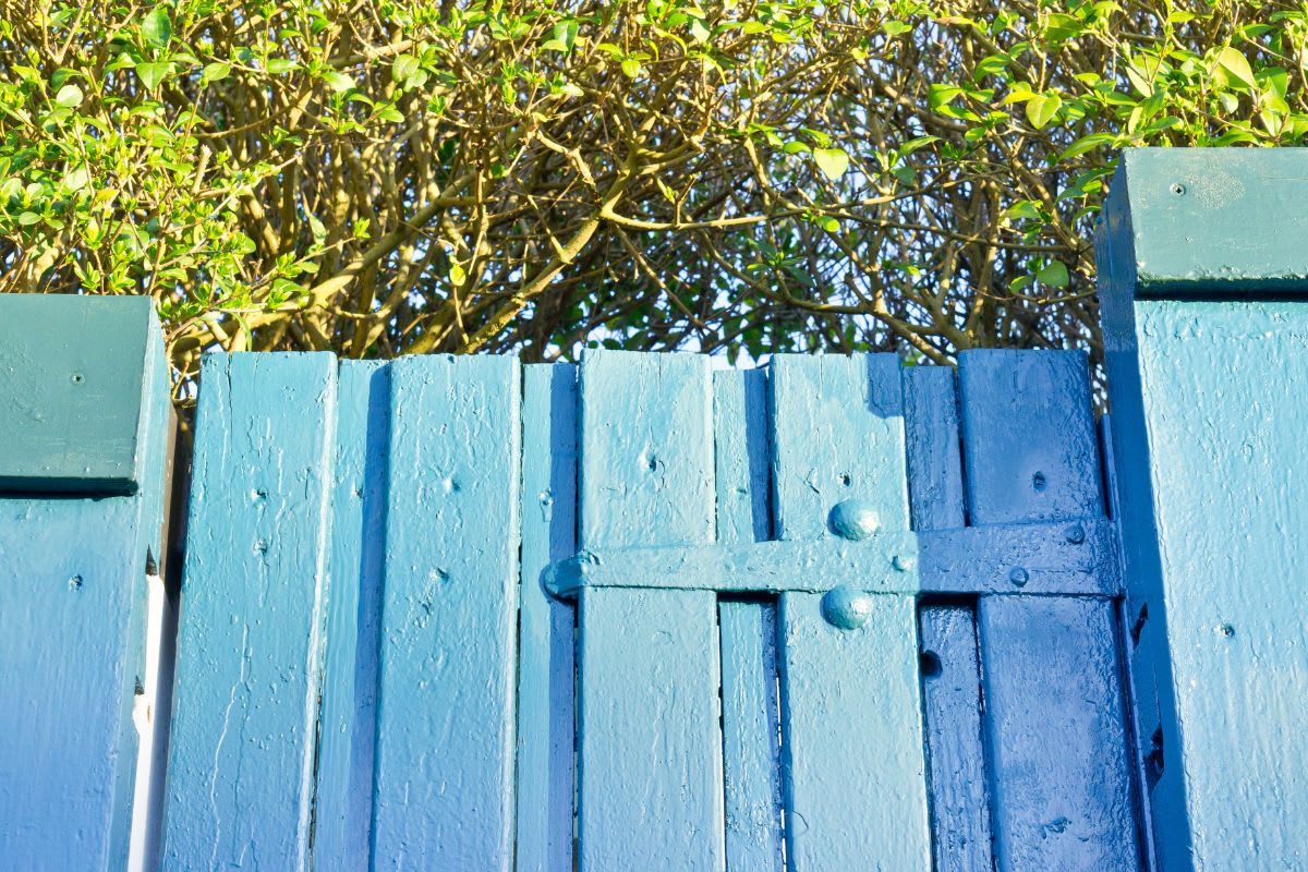 Ein blau gestrichenes Gartentor.