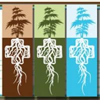 Cnves1tagobl0knnpxub