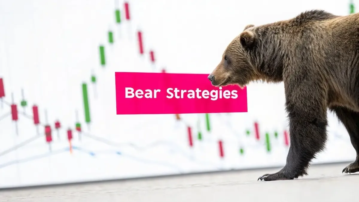 8 Unshakeable Bear Market Investment Strategies for 2026
