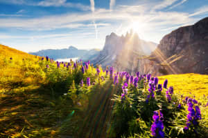 dolomites