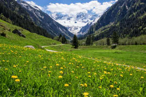 Mayrhofen,Austria