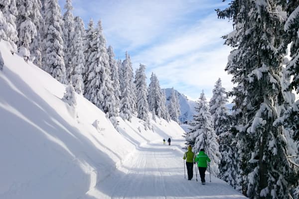 Schermer Apartments,Westendorf