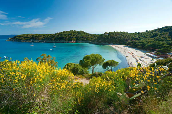 Experience Florence & Tuscany Coast