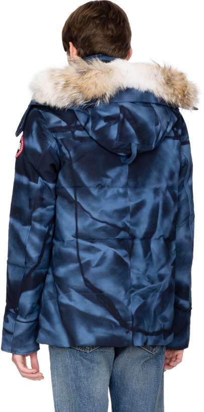 canada goose abstract blue camo