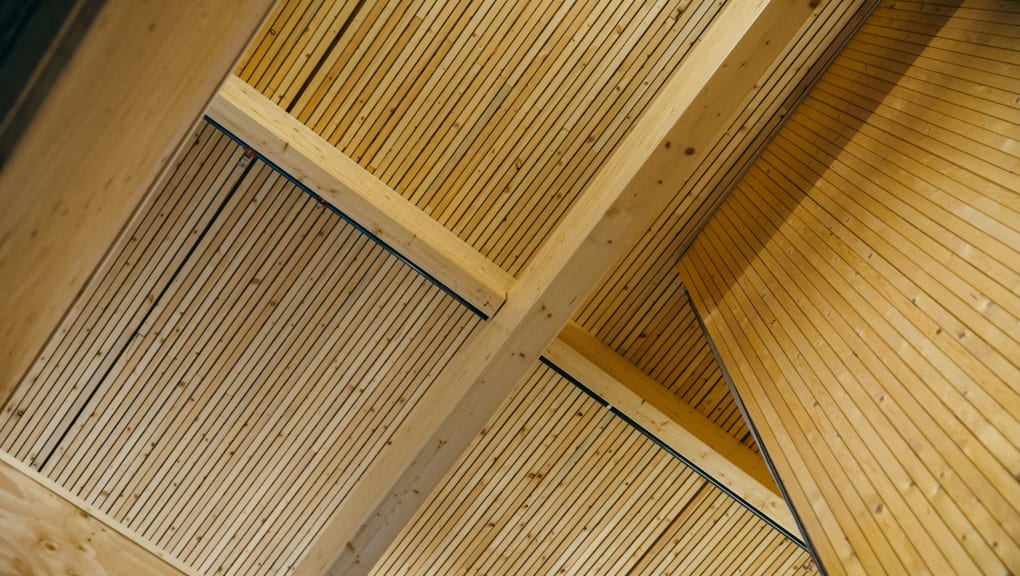 Interior view of the roof inside the Craft Plant