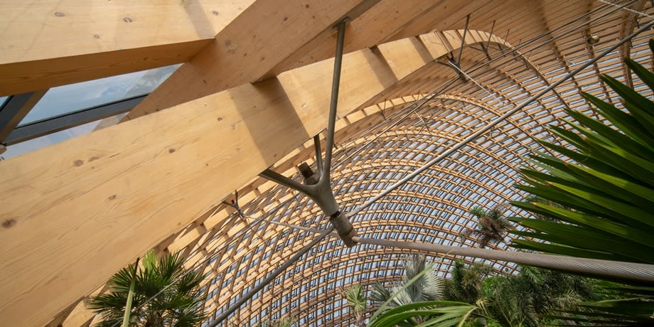 Close up shot of the roof in one of the Taiyuan botanical garden domes